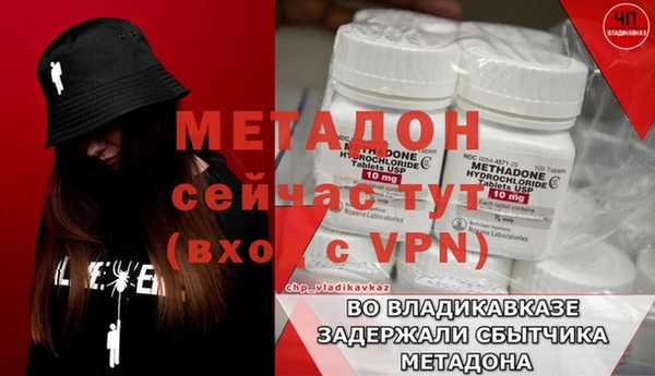 прущие грибы Балахна