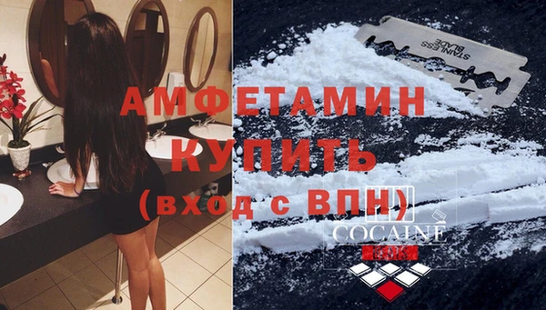 прущие грибы Балахна
