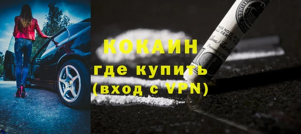 прущие грибы Балахна